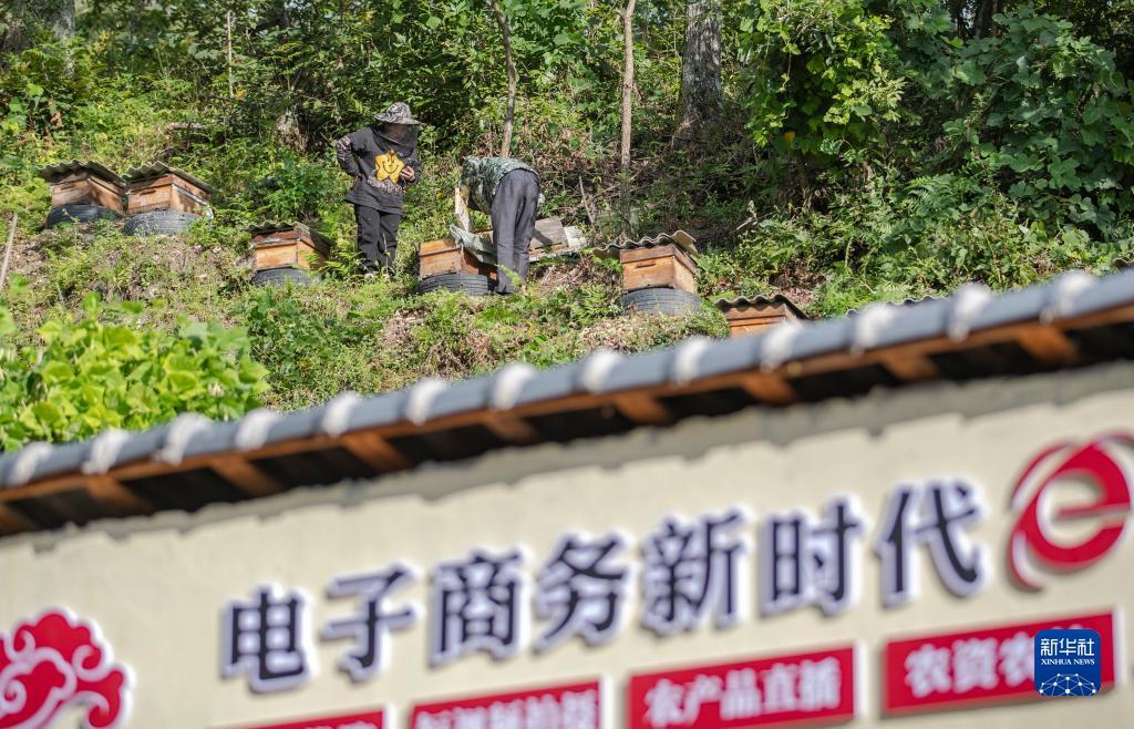 微信夺宝猜大小破解